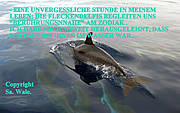 img004.jpg