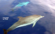 img010.jpg